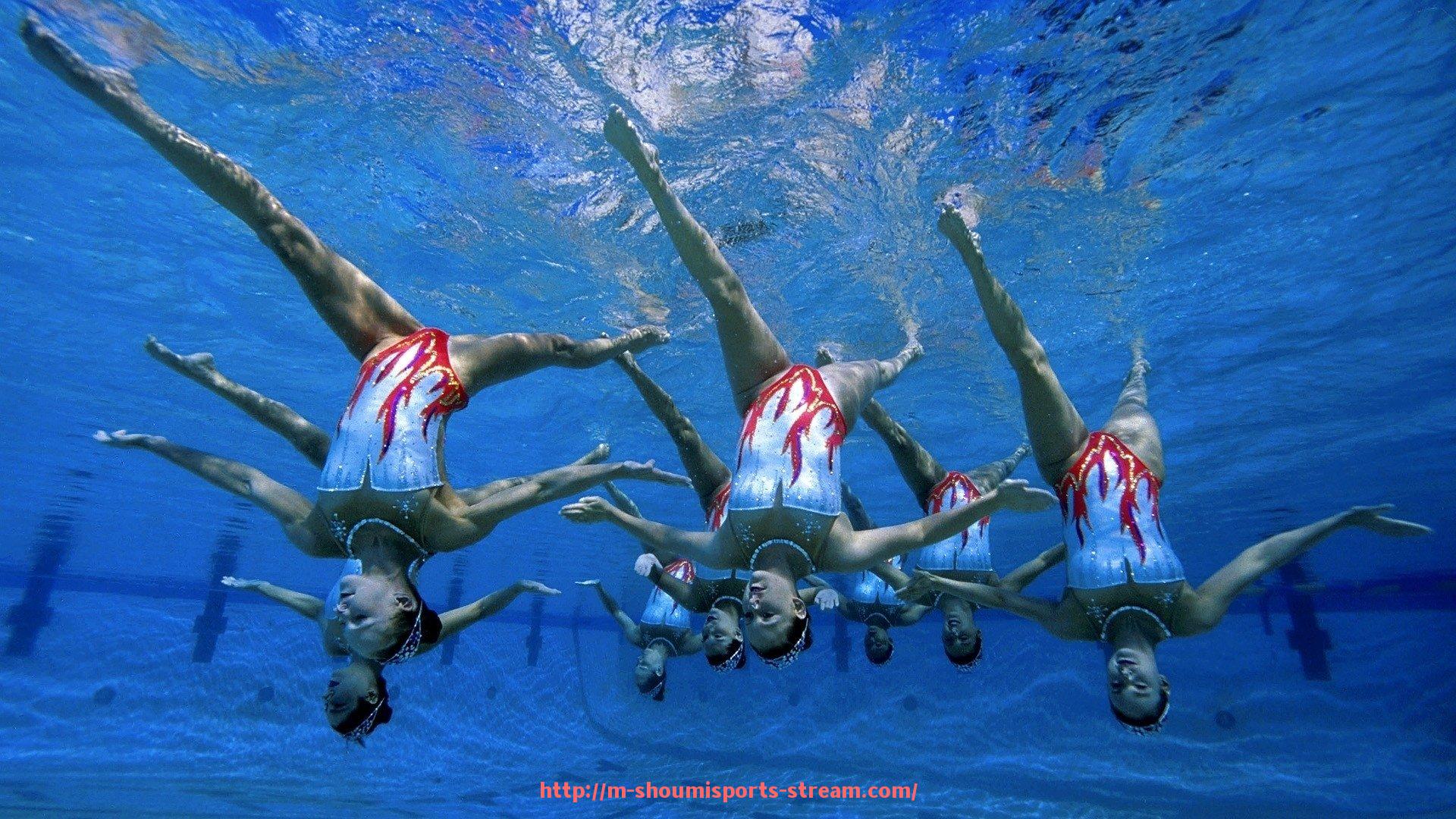 收米体育直播-2018年CBA联盟球队数量及球队构成分析