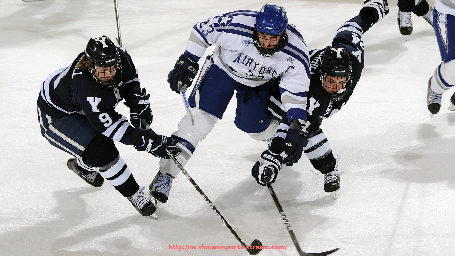 收米体育直播-2016年法甲各支球队的队标图案分别是怎样的?(2016法甲冠军)