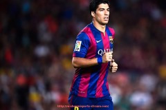 收米体育直播-13-14赛季英超球队阵容及赛季表现回顾