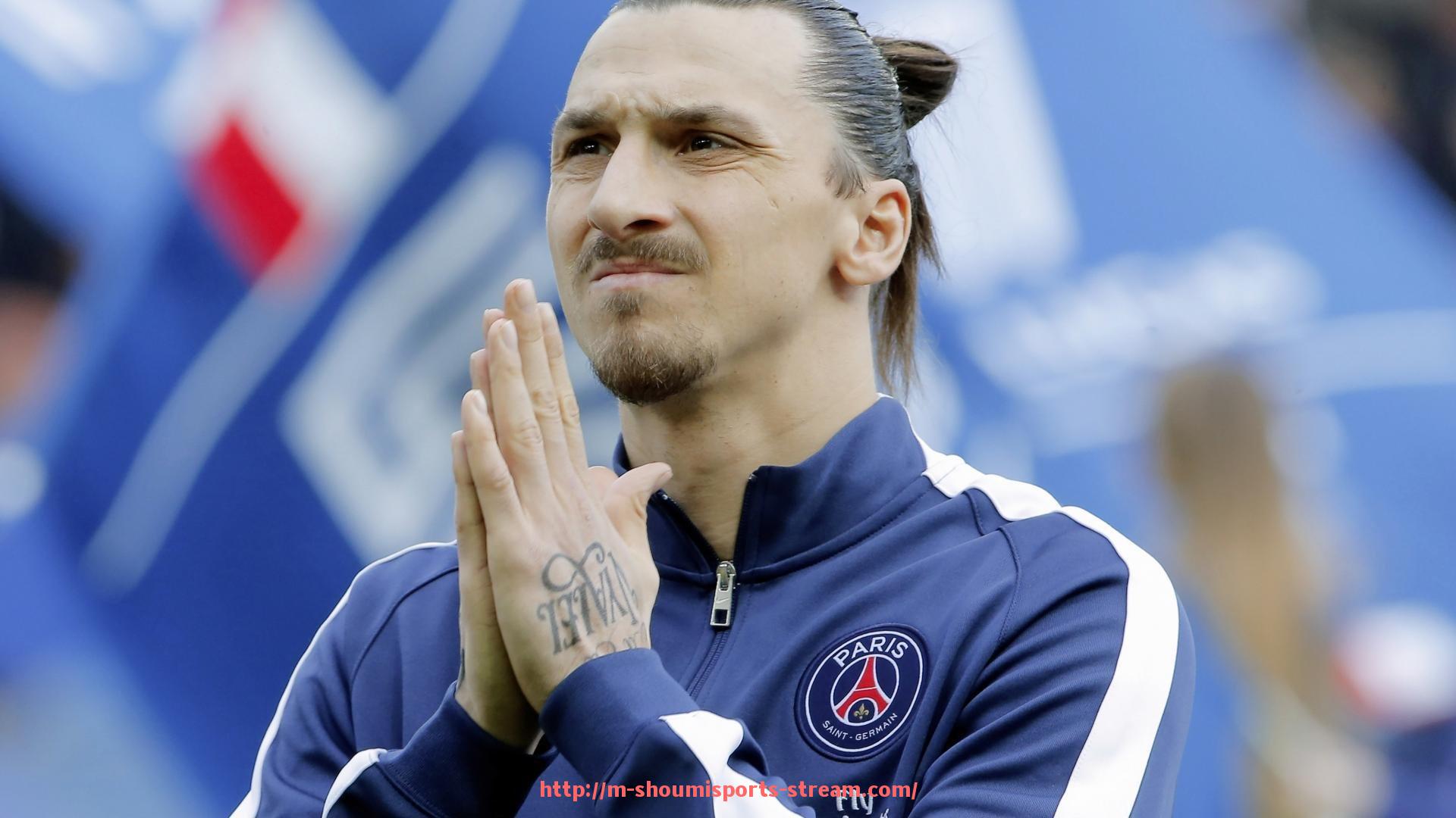 收米体育直播-哪些球队被视为德甲的传统劲旅,它们的辉煌历史有哪些(德甲著名球队)